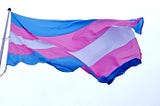 trans flag waves in a brisk breeze