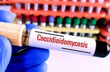As summer approaches and temperatures rise, so does the concern for a deadly disease that has been…