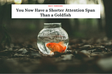 Shortening attention spans are a myth. Let’s build content that demands attention.