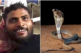 Man bites snake to d3ath after he was bitten by the reptile while he slept