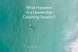 Have you ever wondered what happens in a leadership coaching session? If so, check out this list.