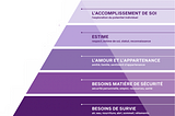 Essai n° 2: Pyramide des besoins