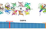 State of the Art of Protein Structure Prediction as of 2025, as Evaluated by CASP16