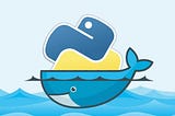 To run Python interpreter/code over the Docker container