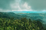 An wide shot of Puerto Rico’s protected forests as clouds billow overhead and the sea sprawls out in the distance.