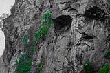 A black and white image of a rock cliff, with natural features suggesting a human face, and with colorized vegetation on either side in over-saturated green.