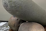 What Happens When You Visit The Penis Museum…