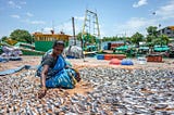 Challenging the Hypocrisy of Climate Narratives: From Kolam to the Real Stories of Sustainability