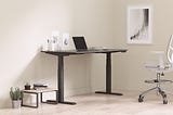 8 Things to Consider When Choosing A Standing Desk for Your Home Office