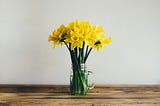 Bright yellow daffodils with lush green stems in a mason jar mug on a reclaimed wooden table against a pale grey background