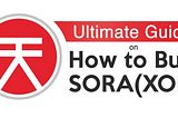 How to Buy SORA (XOR): The Best Practices, Where to Buy, Store & Tips (2021)