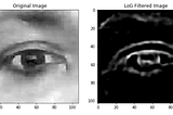 Laplacian of Gaussian Filter (LoG) for Image Processing