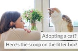 Adopting a Cat? Here’s the Scoop on the Cat Litter Box