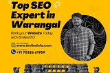 SEO Expert in Warangal