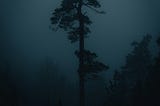 Final Breath of the Stars — Part 2