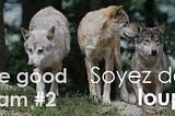 The Good Team #2 : Soyez des loups