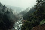 A river flowing amidst tall trees in a misty mountain.