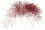 Diameter of the binary tree