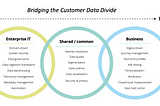 The role of Consultants and Advisors fueling the Customer Data Divide