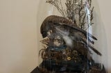 Is Taxidermy a Dying Art?