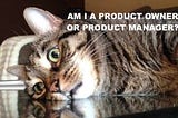 Product Manager vs Product Owner