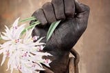Title: "Journey from Chains to Freedom: Exploring the Essence of Liberation"

In a world steeped in…
