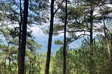 The Yearning to Experience Nature