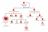 Revolutionizing Immunology One T Cell at a Time