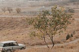 The Art of Silence in Film, A Kiarostami Study