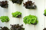 How to Start a Vertical Garden in Small Spaces