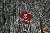 Mine warning flag in bushes with skull and crossbones