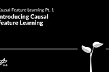 Introducing Causal Feature Learning