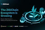 Meet the Builders: dApps and Projects Growing with ZIGChain