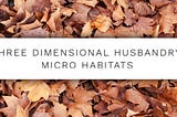 Three Dimensional Keeping: Micro Habitat