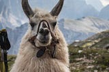 LLM Engenharia de prompt com Llama 3 — Análise de sentimento climáticos