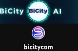 The BiCity Features