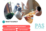 flyer of pop up coliving experience
