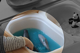 Quels «-centrisme » adopter avec les vivants ?
