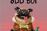 How the heck was oDD BOi born?