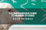 A Comprehensive Guide to Number Systems