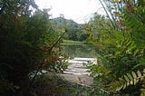 EL DÍA QUE EL RÍO DEJÓ DE SER RÍO