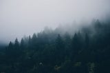 Up and Running with Forestry.io in 5 minutes