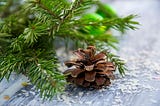 Snowflakes on the Pine Trees (Where’s My December Gift?)