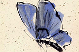 Thought Experiment 3: Zhuangzi’s Butterfly