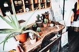 a wooden work bench with an assortment of cacti and succulents. a poster rack to the right of the bench. A shelf filled with gardening accessories over the bench. Items such as terra cotta pots, soil, air plants, & more succulents sits .