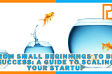🚀From Small Beginnings to Big Success: A Guide to Scaling Your Startup👍
