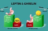 Your Tummy is Ghrelin(Growling) For Food