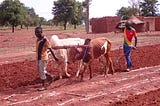 Social innovations for healthy soils and human-wellbeing