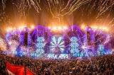 Festival Review: Budweiser presents EDC India
