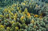 Treetops: Cultivating Sustainable Communities Through UX/UI Design